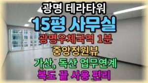 테라뷰, 혁신과 성장을 이끄는 기업