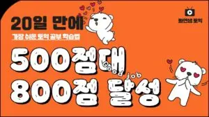 토익의 중요성과 최신 동향