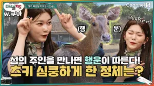 츠키: 일본 애니메이션의 매력적인 캐릭터
