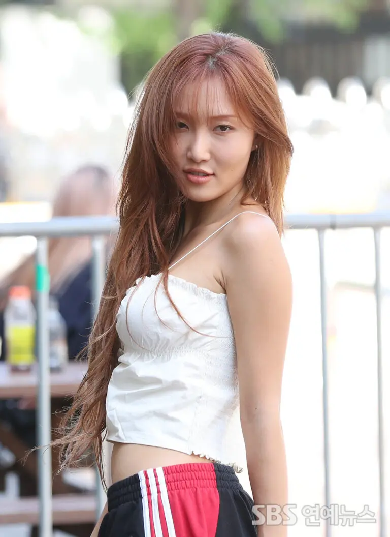 화사: 음악과 팬 소통의 아이콘