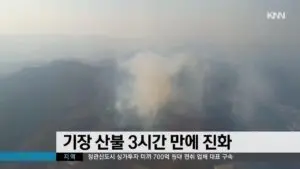 기장 산불의 최근 동향과 그 영향