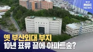 광양시 산불에 대한 최근 소식과 대응 방안