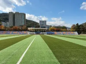 순천대학교의 현황과 발전 방향