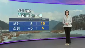 부산날씨 — KR news