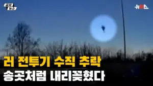 전투기 추락 — KR news