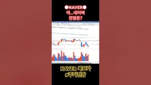 네이버 주가 — KR news