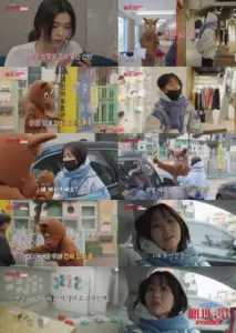 박보영 — KR news