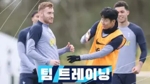 브라이턴 대 노팅엄 포레스트 — KR news