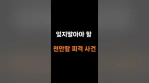 천안함 — KR news