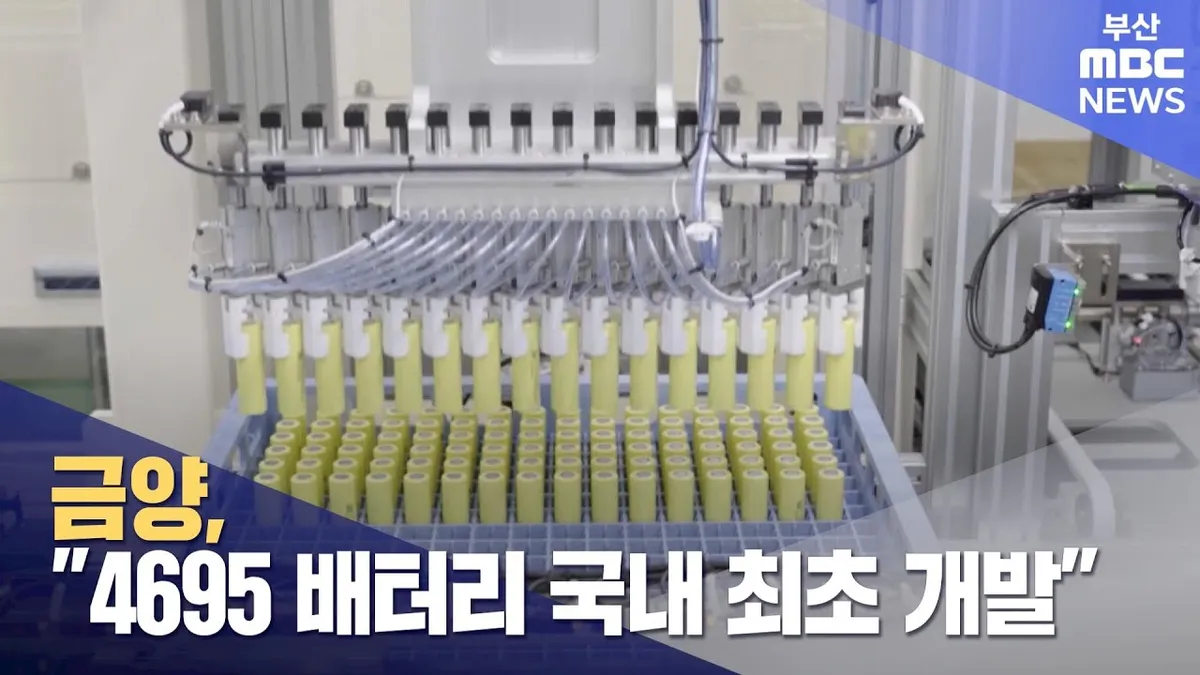 금양 — KR news