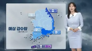 내일 날씨 — KR news