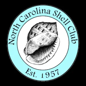 nc — KR news