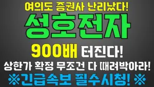 성호전자 — KR news