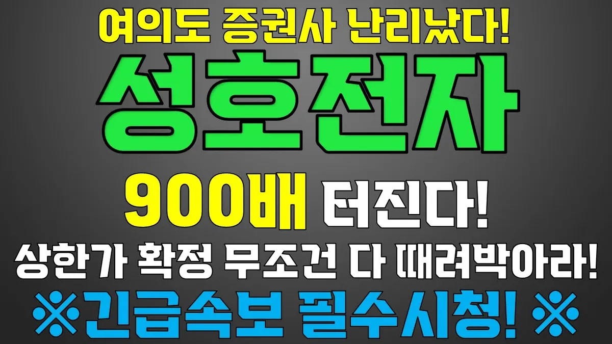 성호전자 — KR news