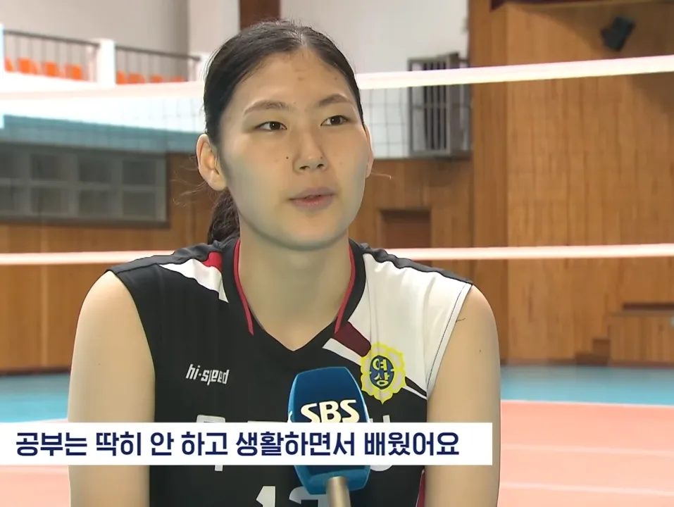 배구 — KR news