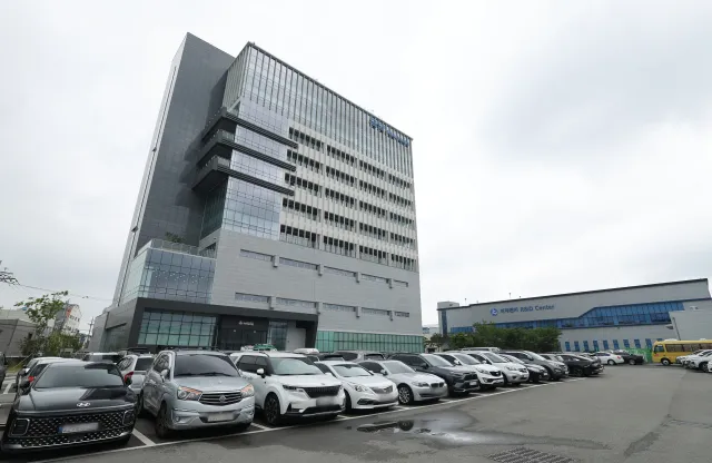 금양 — KR news