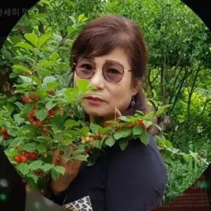 김영옥 — KR news