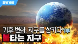 지구 — KR news