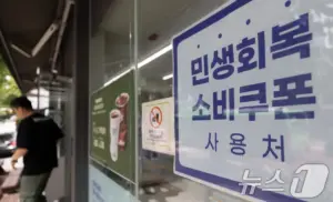 민생회복 소비쿠폰 — KR news