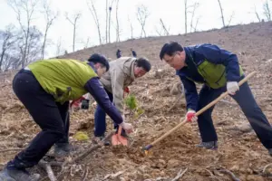 식목일 — KR news