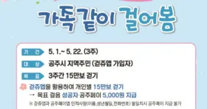 걷기 챌린지: 성남시와 공주시는 어떻게 시민 건강을 증진할까?