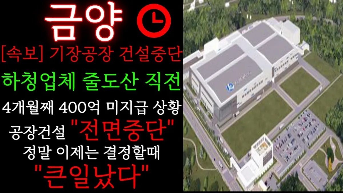금양 — KR news