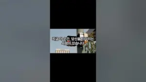 결혼정보회사 — KR news