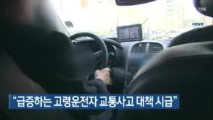 교통 사고: 어린이날에 급증하는 사고의 원인은?