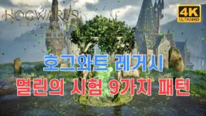 호그와트 레거시 무료 배포 — KR news