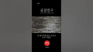이유 비 — KR news