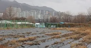농지 전수조사, 왜 필요할까?
