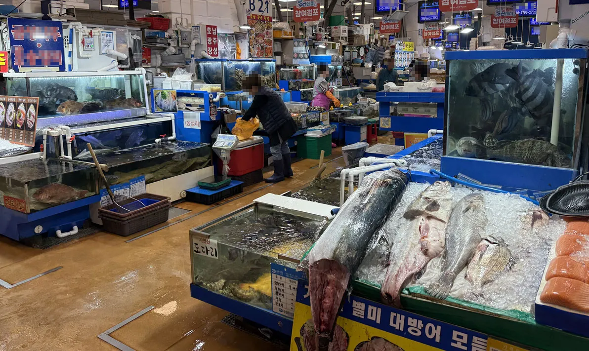 노량진 수산시장 — KR news
