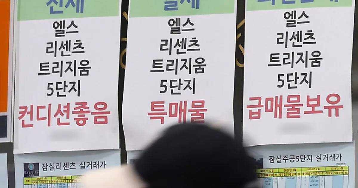 시장 노점 — KR news