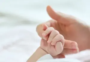 육아휴직 제도, 역대 최다 수급자 수 기록